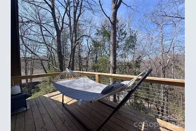 31 Elseetos Drive, Brevard, NC 28712 - Photo 23