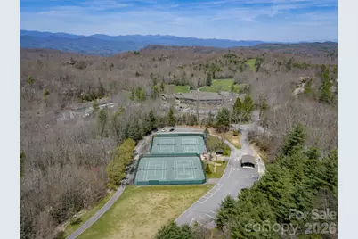 31 Elseetos Drive, Brevard, NC 28712 - Photo 35