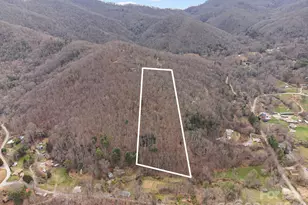 99999 Oak Ridge Rd, Swannanoa, NC 28778 - Photo 1