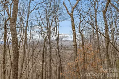 99999 Oak Ridge Road, Swannanoa, NC 28778 - Photo 9