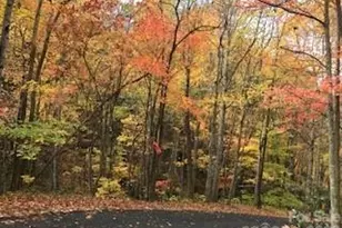 1664 Tawodi Trail, Maggie Valley, NC 28751 - Photo 7