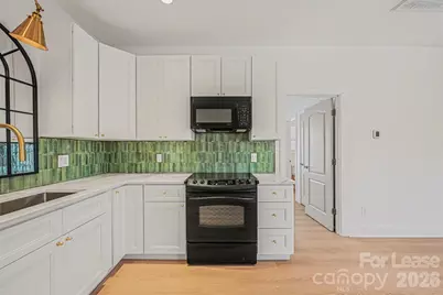 140 Harper Lee Street, Davidson, NC 28036 - Photo 3
