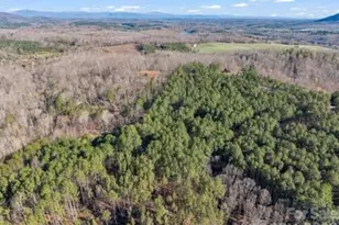 907 Hidden Lake Pkwy, Nebo, NC 28761 - Photo 41