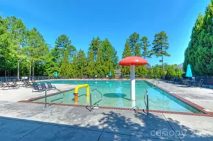 3900 Widgeon Way, Waxhaw, NC 28173 - Photo 39