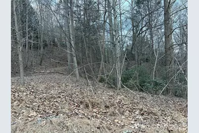 21 Pier Drive #78, Nebo, NC 28761 - Photo 3