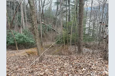 21 Pier Drive #78, Nebo, NC 28761 - Photo 5