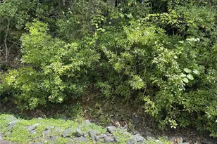 00 Winterstar Loop, Burnsville, NC 28714 - Photo 5