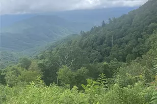 00 Winterstar Loop, Burnsville, NC 28714 - Photo 7