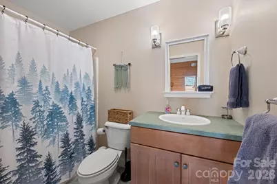 60 Rolling Lane, Maggie Valley, NC 28751 - Photo 47