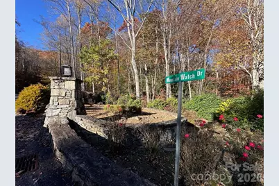 3 Mountain Watch Drive, Waynesville, NC 28785 - Photo 9
