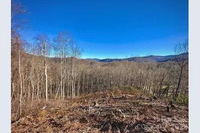 3 Mountain Watch Drive, Waynesville, NC 28785 - Photo 3