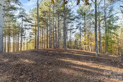 119 Wood Cove Lane, Stony Point, NC 28678 - Photo 5