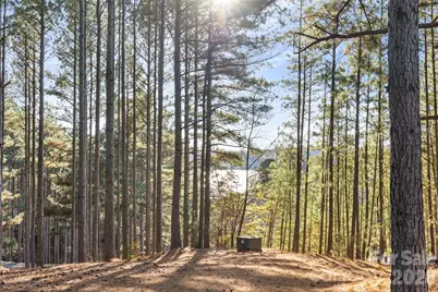 119 Wood Cove Lane, Stony Point, NC 28678 - Photo 3