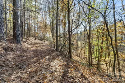 119 Wood Cove Lane, Stony Point, NC 28678 - Photo 7