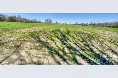 Tbd Mohican Trail, Hendersonville, NC 28726 - Photo 17