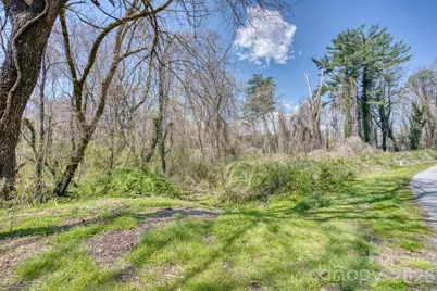 Tbd Toms Hill Drive, Hendersonville, NC 28792 - Photo 9