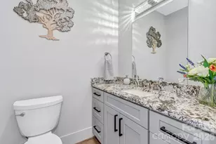 301 Rockbridge Rd, Mills River, NC 28759 - Photo 21