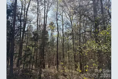 6223 Twining Vine Court, Kannapolis, NC 28081 - Photo 3