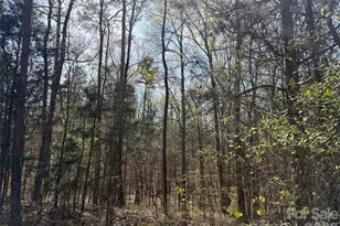 6223 Twining Vine Ct, Kannapolis, NC 28081 - Photo 3