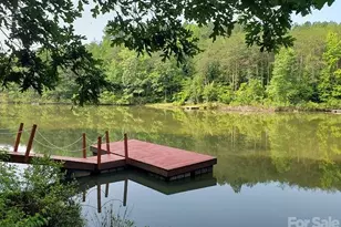 476 Double Eagle Dr, Nebo, NC 28761 - Photo 43