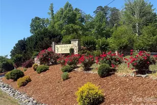 476 Double Eagle Dr, Nebo, NC 28761 - Photo 47