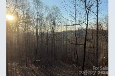 476 Double Eagle Drive, Nebo, NC 28761 - Photo 11