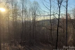 476 Double Eagle Dr, Nebo, NC 28761 - Photo 11