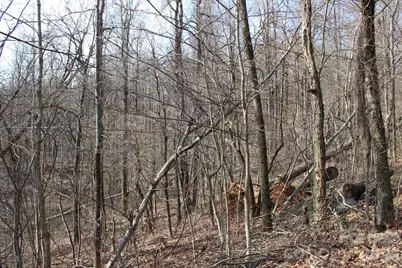 Lot 20 Sunset Ridge Drive #20, Columbus, NC 28722 - Photo 17