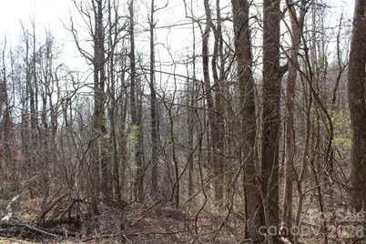 Lot 20 Sunset Ridge Drive #20, Columbus, NC 28722 - Photo 15