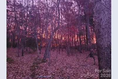 160 Winsome Forest Drive, Nebo, NC 28761 - Photo 41