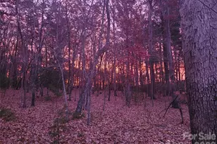 160 Winsome Forest Dr, Nebo, NC 28761 - Photo 41