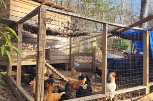 160 Winsome Forest Dr, Nebo, NC 28761 - Photo 39