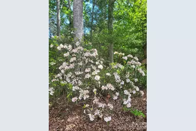 160 Winsome Forest Drive, Nebo, NC 28761 - Photo 35