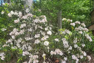 160 Winsome Forest Dr, Nebo, NC 28761 - Photo 35