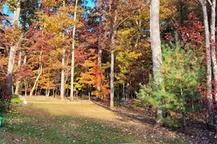 160 Winsome Forest Dr, Nebo, NC 28761 - Photo 45