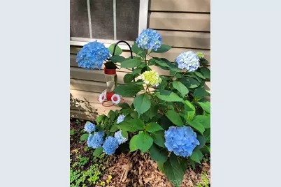 160 Winsome Forest Drive, Nebo, NC 28761 - Photo 31