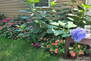 160 Winsome Forest Dr, Nebo, NC 28761 - Photo 43