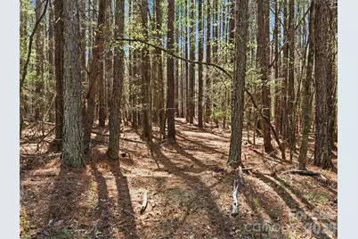 3883 Marlette Drive, York, SC 29745 - Photo 47