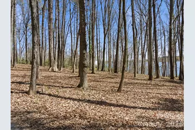 3883 Marlette Drive, York, SC 29745 - Photo 39