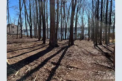 3883 Marlette Drive, York, SC 29745 - Photo 5