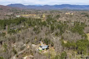 15 Sourwood Ln, Fletcher, NC 28732 - Photo 47