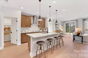 189 Landy St, Fort Mill, SC 29715 - Photo 11