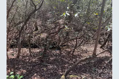 335 Woodrow Hoyle Road, Casar, NC 28020 - Photo 9