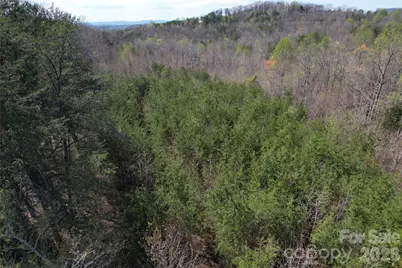 335 Woodrow Hoyle Road, Casar, NC 28020 - Photo 25