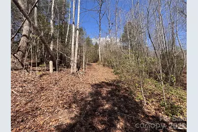 335 Woodrow Hoyle Road, Casar, NC 28020 - Photo 11