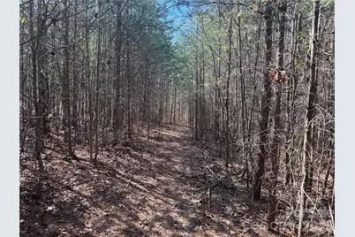 335 Woodrow Hoyle Road, Casar, NC 28020 - Photo 23