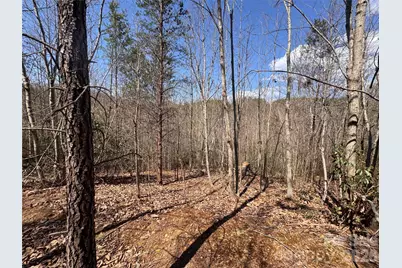 335 Woodrow Hoyle Road, Casar, NC 28020 - Photo 17