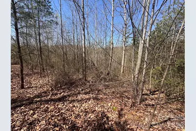 335 Woodrow Hoyle Road, Casar, NC 28020 - Photo 19