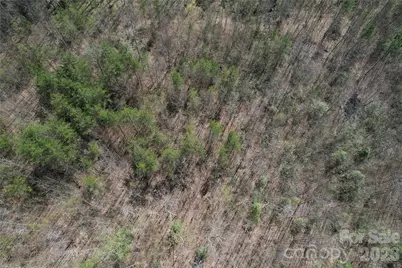 335 Woodrow Hoyle Road, Casar, NC 28020 - Photo 29