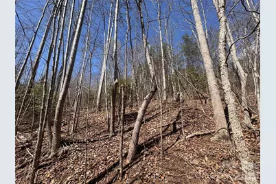 335 Woodrow Hoyle Road, Casar, NC 28020 - Photo 15